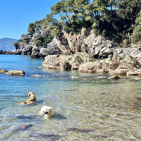 Апартаменты Casa Vera Pitelli