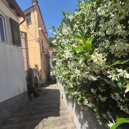 Casa Vera アパート Pitelli