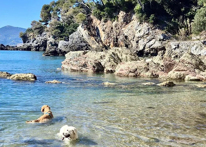 Lägenhet Casa Vera Pitelli