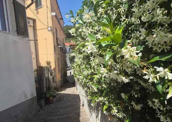 Casa Vera Lejlighed Pitelli